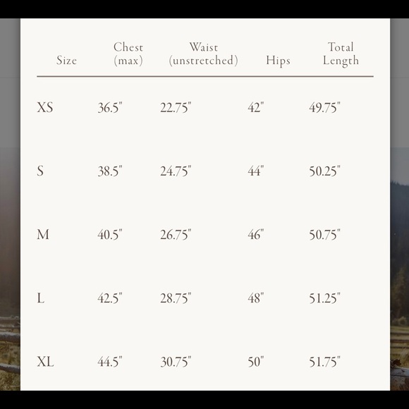 Christy Dawn The Reese Dress Midnight Floral Boho S - Picture 4 of 9